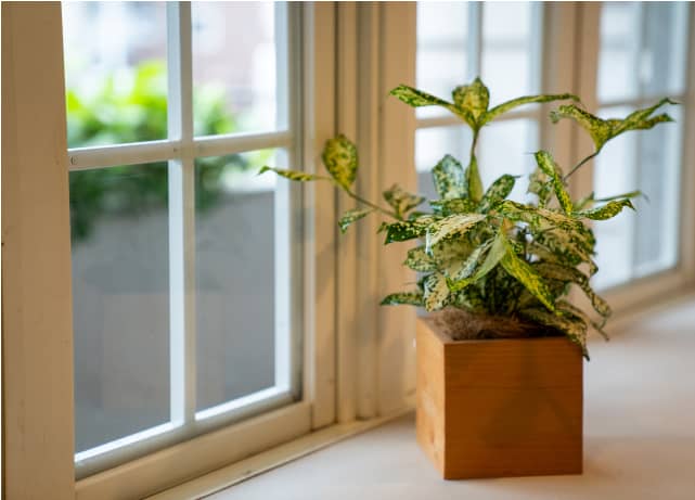 ラジオにゲスト出演しました。